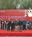  2019首届北京长板马拉松公开赛在京圆满落幕